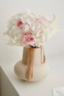 Hortensia Premium