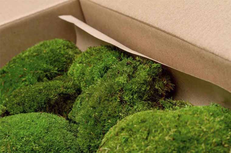 2.15 Sq.Ft Preserved Moss Bulk, Green Moss for Potted Plants, Preserved  Pole Mos