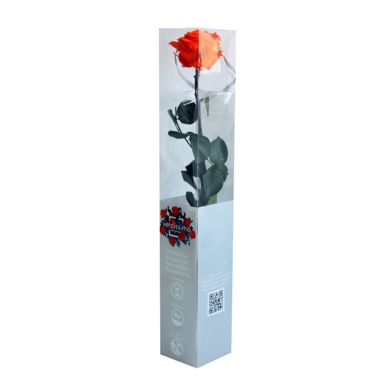 Premium Single Stem Roses