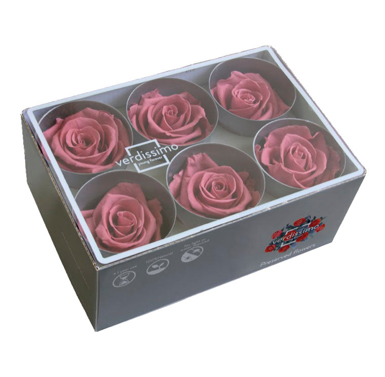 RST248G-03-rosa-standard_760x.